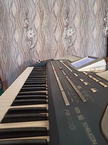 Sintezator, Korg lalafo.az -da Sintezator, Korg