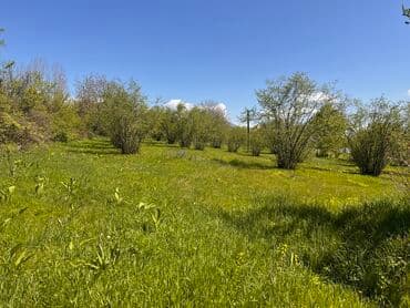 Гаражи: 30 соток, Для строительства, Возможен обмен, Купчая at lalafo.az — 3 Гаражи: 30 соток, Для строительства, Возможен обмен, Купчая — 3