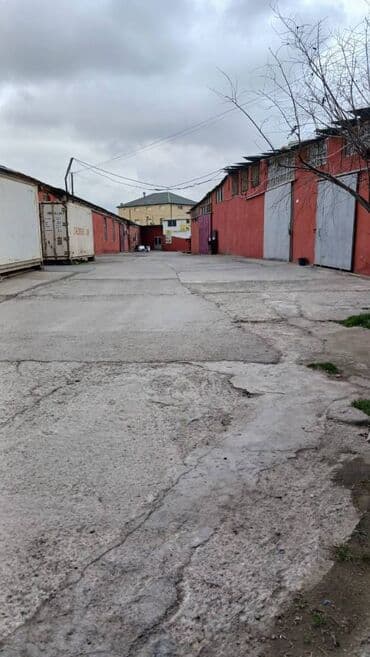 бесплатные стрижки бишкек: Babək pr.de Az-qaz Azpetrolla üzbəüz 100 m2lik anbar icarəyə at lalafo.az — 3 бесплатные стрижки бишкек: Babək pr.de Az-qaz Azpetrolla üzbəüz 100 m2lik anbar icarəyə — 3