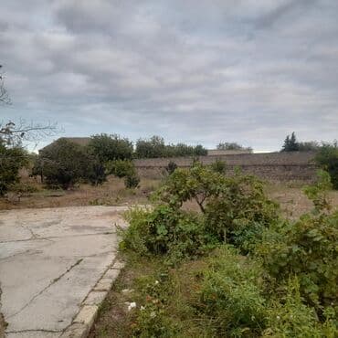 10 sot, Tikinti, Mülkiyyətçi, Kupça (Çıxarış) lalafo.az -da 10 sot, Tikinti, Mülkiyyətçi, Kupça (Çıxarış)