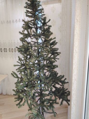 Yeni il yolka ağacı 1 bayram istifadə olunub. Möhkəm dözümlüdür lalafo.az -da Yeni il yolka ağacı 1 bayram istifadə olunub. Möhkəm dözümlüdür