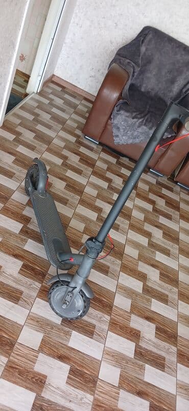 Yeni Elektrik samokat 10", 351 - 500 Vt, 26 - 35 km/s lalafo.az -da Yeni Elektrik samokat 10", 351 - 500 Vt, 26 - 35 km/s