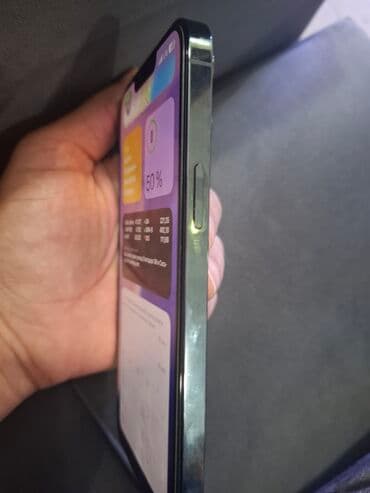 IPhone 13 Pro Max, 256 GB, Alpine Green lalafo.az -da IPhone 13 Pro Max, 256 GB, Alpine Green