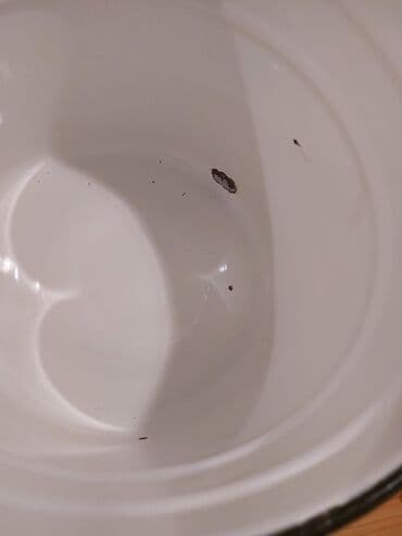 Sovetin qazanlarıdı çox az işlənib məhsula heyfim gəlir illərdi evdə lalafo.az -da Sovetin qazanlarıdı çox az işlənib məhsula heyfim gəlir illərdi evdə