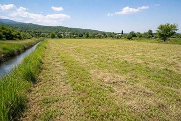 Kənd təsərrüfatı lalafo.az -da Kənd təsərrüfatı