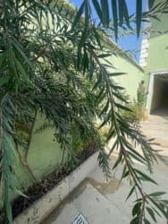 Çəngəllər: Biləcəri 5 otaqlı, 180 kv. m, Kredit yoxdur, Yeni təmirli lalafo.az -da — 4 Çəngəllər: Biləcəri 5 otaqlı, 180 kv. m, Kredit yoxdur, Yeni təmirli — 4