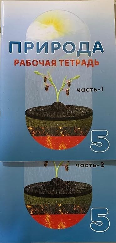İş dəftəri 5-ci sinif lalafo.az -da — 2 İş dəftəri 5-ci sinif — 2