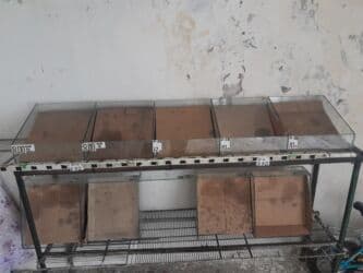 ПО для бизнеса: 30 * 1500 * 30, Б/у, Самовывоз at lalafo.az — 1 ПО для бизнеса: 30 * 1500 * 30, Б/у, Самовывоз — 1