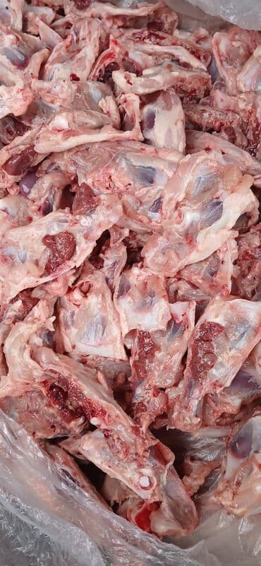 Itler pisikler ucun nezerde tutulub her gun teze olur sveji sexden lalafo.az -da Itler pisikler ucun nezerde tutulub her gun teze olur sveji sexden