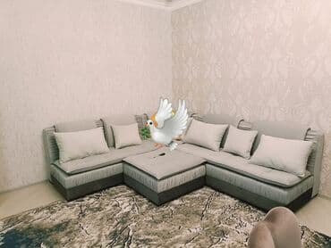 Künc divan, Yeni lalafo.az -da Künc divan, Yeni