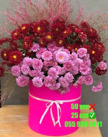 Букетные цветы: Təbii çox qalıcı və ətirli güllər xrizantemalar
İnstagram ter_gulum at lalafo.az — 3 Букетные цветы: Təbii çox qalıcı və ətirli güllər xrizantemalar
İnstagram ter_gulum — 3