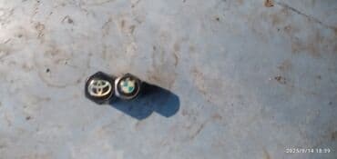 Avtomobil təkər klapan qapaqları (2 ədəd). - Şəkildə iki ədəd lalafo.az -da Avtomobil təkər klapan qapaqları (2 ədəd). - Şəkildə iki ədəd