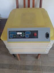 ПО для бизнеса: İnkubator. Tam işlək .96 yumurtalıq at lalafo.az — 1 ПО для бизнеса: İnkubator. Tam işlək .96 yumurtalıq — 1