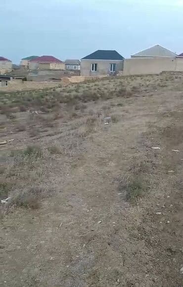 BYD: Kənd təsərrüfatı lalafo.az -da — 1 BYD: Kənd təsərrüfatı — 1