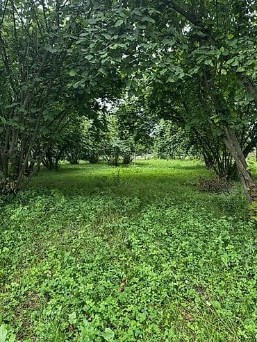 10 sot, Tikinti, Barter mümkündür, Kupça (Çıxarış) lalafo.az -da 10 sot, Tikinti, Barter mümkündür, Kupça (Çıxarış)