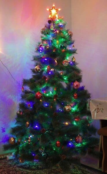 Yolka yeni il ağacı ~170 sm, əla vəziyyətdə + şışkalar. Şarlarsız lalafo.az -da Yolka yeni il ağacı ~170 sm, əla vəziyyətdə + şışkalar. Şarlarsız