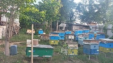 2 otaqlı, 50 kv. m lalafo.az -da — 8 2 otaqlı, 50 kv. m — 8