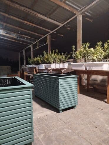 Taxta dipçəklər Bir başa sexdən.Sex qiymətinə. ♦️Endrim 2025 ☀️🌤️🌨️❄️ lalafo.az -da Taxta dipçəklər Bir başa sexdən.Sex qiymətinə. ♦️Endrim 2025 ☀️🌤️🌨️❄️