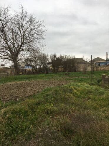 6 sot, Tikinti, Mülkiyyətçi, Kupça (Çıxarış) lalafo.az -da 6 sot, Tikinti, Mülkiyyətçi, Kupça (Çıxarış)