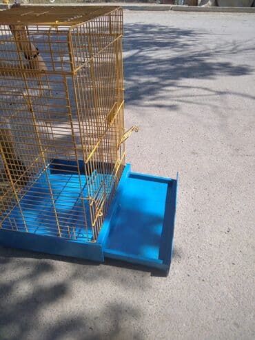 Kletka quslar uycun.ela veziyetde.hundurdu.olsusu 50 _53_80 lalafo.az -da Kletka quslar uycun.ela veziyetde.hundurdu.olsusu 50 _53_80