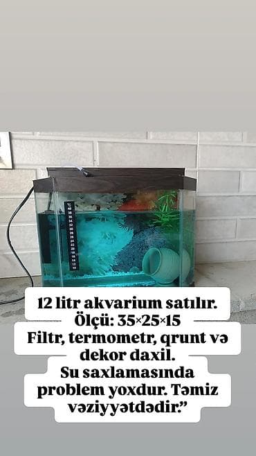 12 litrlik akvarium dəsti. Xüsusiyyətlər: - Ölçü: 35 × 25 × 15 sm - lalafo.az -da 12 litrlik akvarium dəsti. Xüsusiyyətlər: - Ölçü: 35 × 25 × 15 sm -