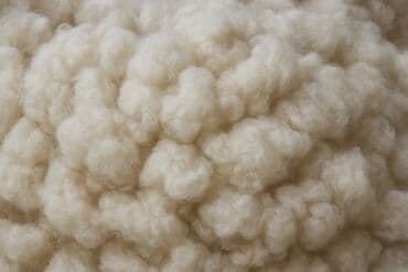 Təbii qoyun yunu – yuyulmuş təmiz - Məhsul: Qoyun yunu (yuma və lalafo.az -da Təbii qoyun yunu – yuyulmuş təmiz - Məhsul: Qoyun yunu (yuma və