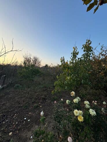 Tikinti lalafo.az -da Tikinti