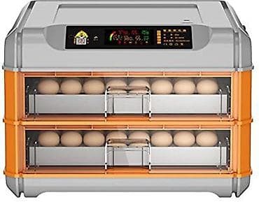 Bütün növ quşlaq üçün, Zəmanət ilə, Fabrik istehsalı lalafo.az -da Bütün növ quşlaq üçün, Zəmanət ilə, Fabrik istehsalı