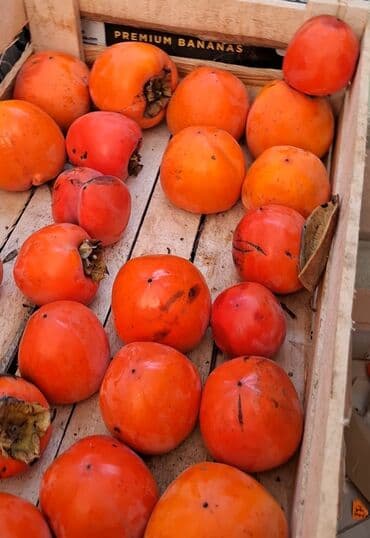 Соления: Məhsul: Öz bağımızdan Xurma . Ağdaş Xurması. Qiyməti - 0.70. Çox at lalafo.az — 4 Соления: Məhsul: Öz bağımızdan Xurma . Ağdaş Xurması. Qiyməti - 0.70. Çox — 4