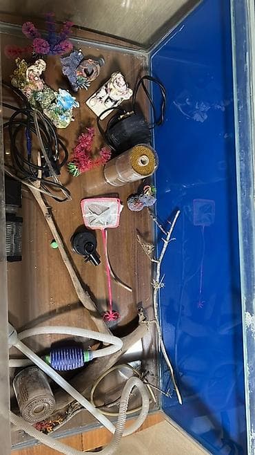 Akvaryum komplekti – şüşə akvarium və işıqlandırma sisteminə qədər at lalafo.az Akvaryum komplekti – şüşə akvarium və işıqlandırma sisteminə qədər