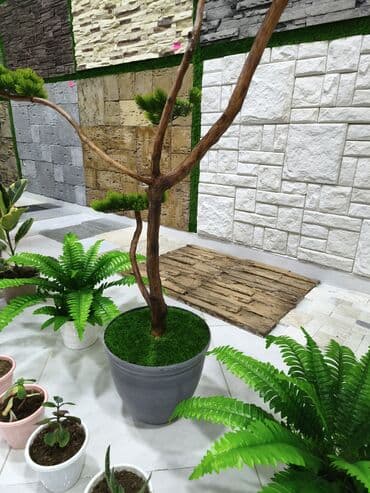 Dekorativ daş divar panelləri - İçi və çöldə istifadə üçün dekorativ lalafo.az -da Dekorativ daş divar panelləri - İçi və çöldə istifadə üçün dekorativ