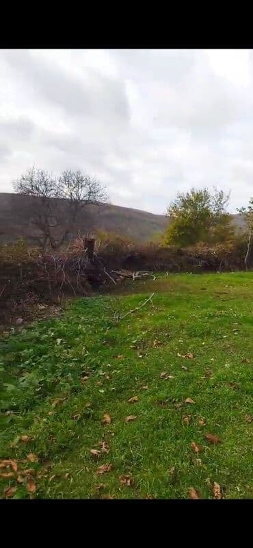 Гаражи: Для сельского хозяйства at lalafo.az — 2 Гаражи: Для сельского хозяйства — 2