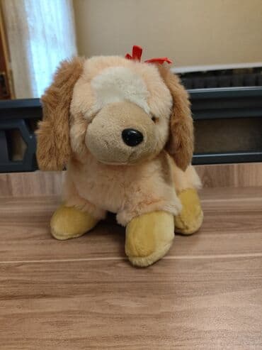 Oyuncaq lalafo.az -da Oyuncaq