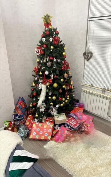 Yolka satlir 2.50 hündürlük əla vəziyədədi PORT BAKUDAN 1500 manata lalafo.az -da Yolka satlir 2.50 hündürlük əla vəziyədədi PORT BAKUDAN 1500 manata