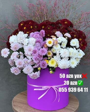 Букетные цветы: Təbii çox qalıcı və ətirli güllər xrizantemalar
İnstagram ter_gulum at lalafo.az — 8 Букетные цветы: Təbii çox qalıcı və ətirli güllər xrizantemalar
İnstagram ter_gulum — 8