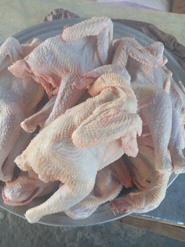 Təzə soyulmuş kənd toyuqları - Tam toyuq karkasları, lələkdən lalafo.az -da Təzə soyulmuş kənd toyuqları - Tam toyuq karkasları, lələkdən