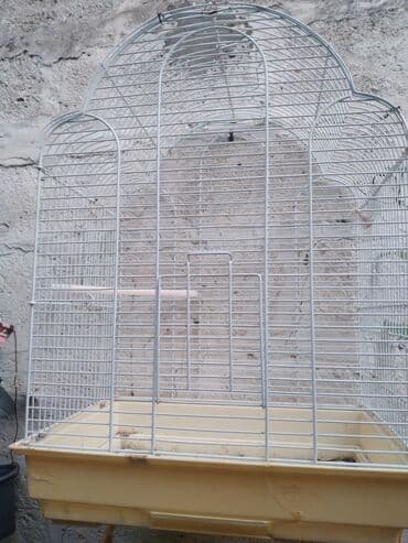 Tutu auşdarçün nezerde tjtulmuş iri qefesdi 50m almışdıq qefes lalafo.az -da Tutu auşdarçün nezerde tjtulmuş iri qefesdi 50m almışdıq qefes