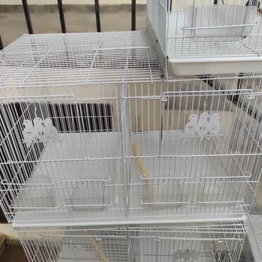 Salam Hər vaxtiniz Xeyirli olsun 8 ədəd var cox az işlənib lalafo.az -da Salam Hər vaxtiniz Xeyirli olsun 8 ədəd var cox az işlənib