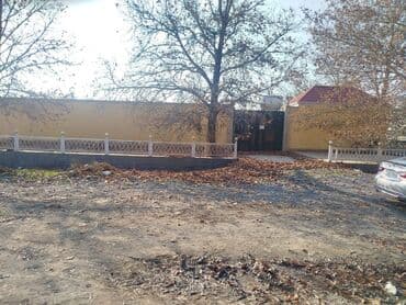 Kənd təsərrüfatı, Kupça (Çıxarış) lalafo.az -da Kənd təsərrüfatı, Kupça (Çıxarış)