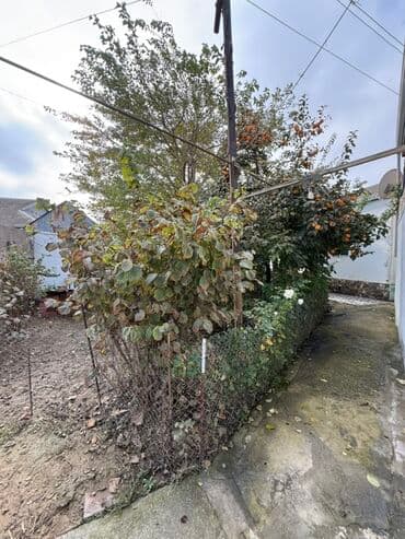 4 otaqlı, 500 kv. m, Kredit yoxdur, Yeni təmirli lalafo.az -da 4 otaqlı, 500 kv. m, Kredit yoxdur, Yeni təmirli