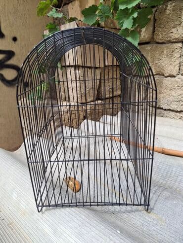 BARTER VAR!!!!!!Qəfəs quşlara məhəbbət,bülbül,xamyak,tısbağa və.s lalafo.az -da BARTER VAR!!!!!!Qəfəs quşlara məhəbbət,bülbül,xamyak,tısbağa və.s