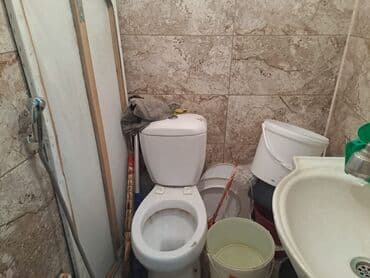 Соления: Satilir Tecili at lalafo.az — 7 Соления: Satilir Tecili — 7