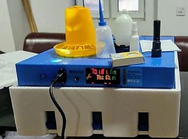 Inkubator inkubatorlarin birinci əl satişi unversal inkubator 64 lalafo.az -da Inkubator inkubatorlarin birinci əl satişi unversal inkubator 64