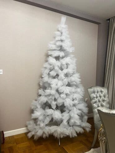 Yolka 2.40 olcude dir isdidafe olmayib lalafo.az -da Yolka 2.40 olcude dir isdidafe olmayib