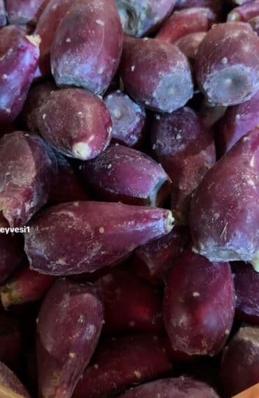 Şəkərin dərmanı . Məhsul: Kaktus armudu lalafo.az -da Şəkərin dərmanı . Məhsul: Kaktus armudu