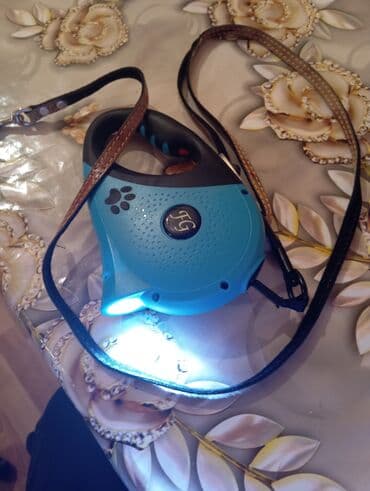 İşıqlı avto-rulet it qayışı - Tip: avtomatik çəkilən (rulet) qayış - lalafo.az -da İşıqlı avto-rulet it qayışı - Tip: avtomatik çəkilən (rulet) qayış -