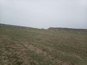Tikinti lalafo.az -da Tikinti