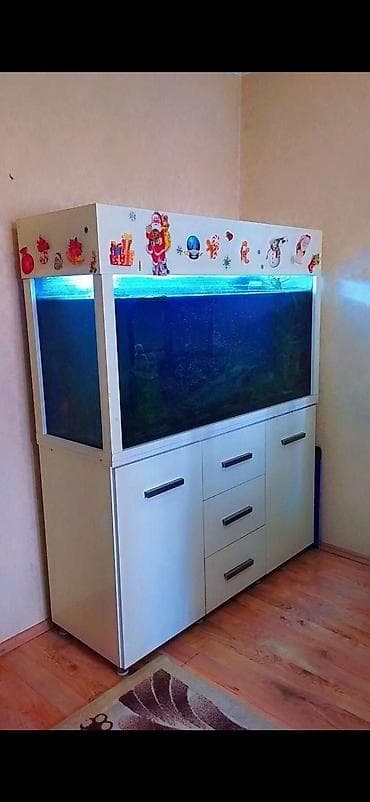 Akvarium-şkaf, Boş, 600 l, Ünvandan götürmə lalafo.az -da Akvarium-şkaf, Boş, 600 l, Ünvandan götürmə