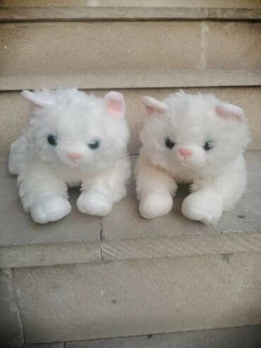 Qız və oğlan Pisiklər Sumqayıt lalafo.az -da Qız və oğlan Pisiklər Sumqayıt