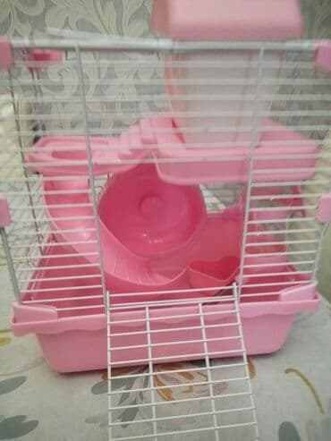 Salam teze işlenmemiş hamster qefesi içinde lazım olan hersey lalafo.az -da Salam teze işlenmemiş hamster qefesi içinde lazım olan hersey